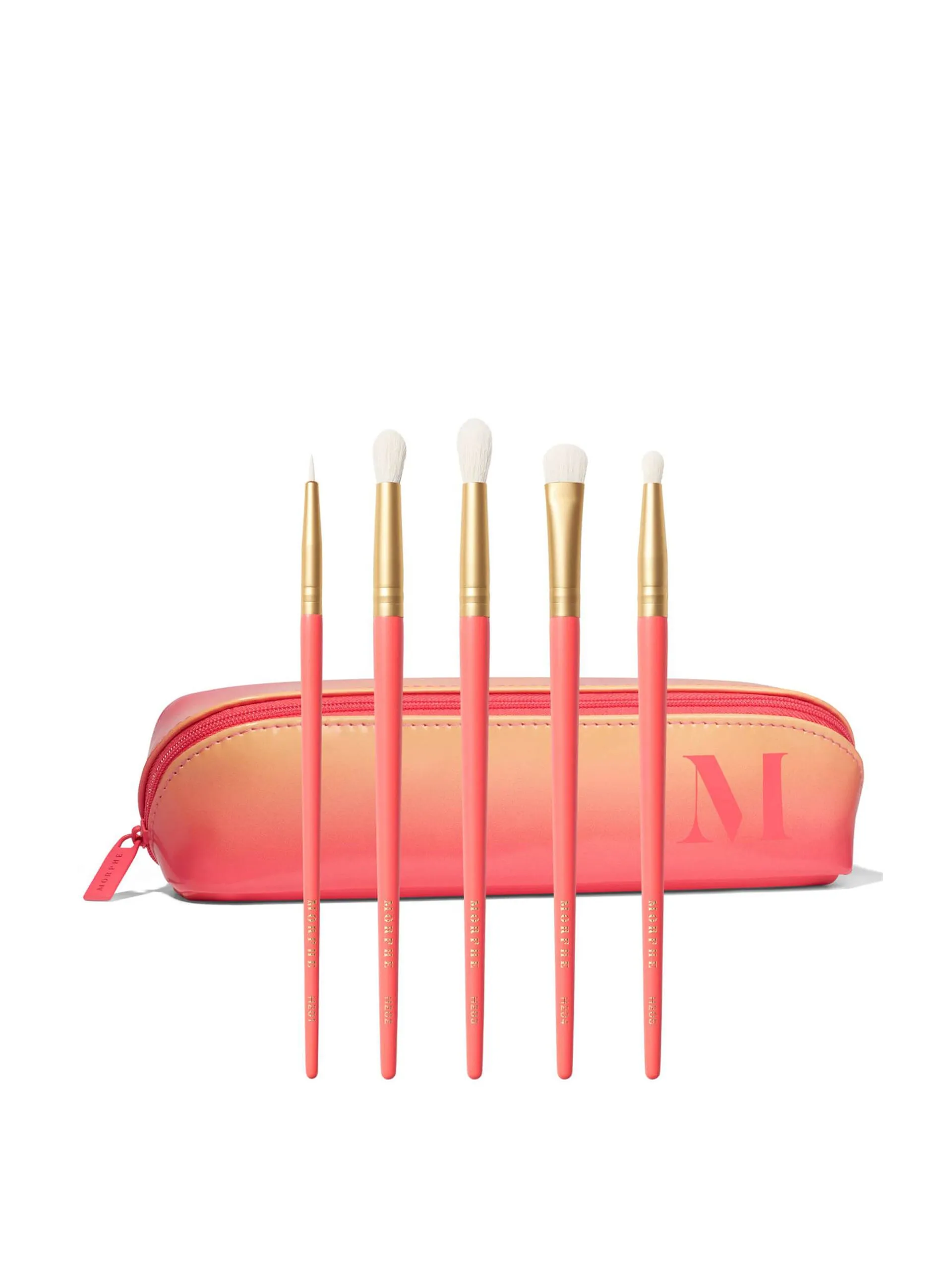 5-piece eye brush set