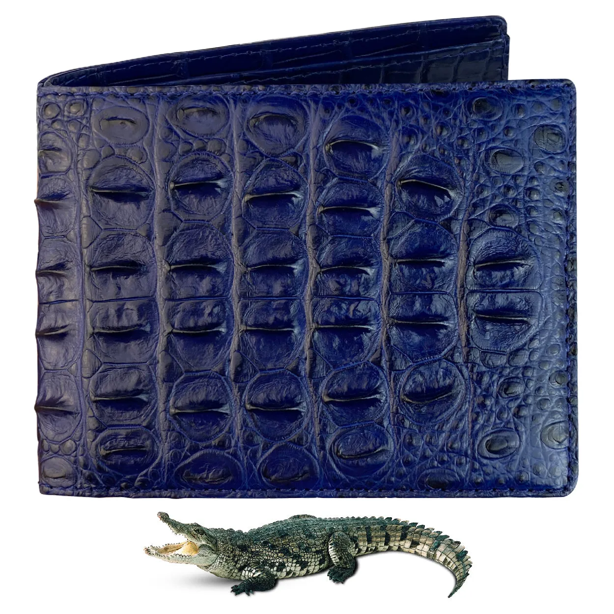 Blue Double Side Alligator Hornback Leather Bifold Wallet For Men RFID Blocking | VINAM-106