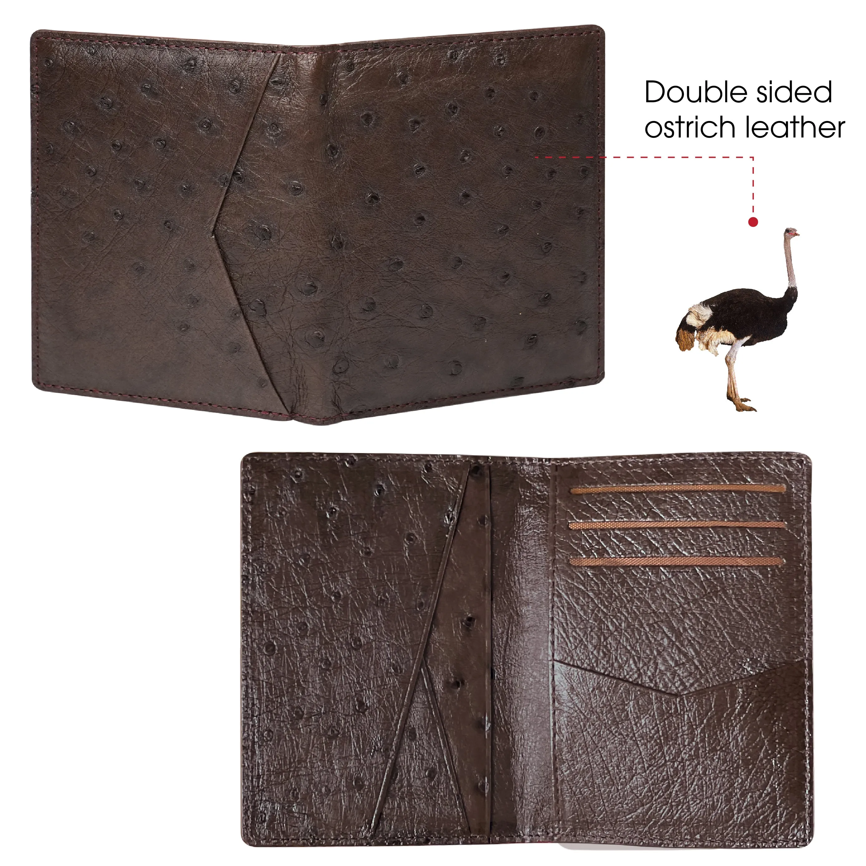 Brown Double Side Ostrich Leather Credit Card Holder | RFID Blocking | CARDOS-03