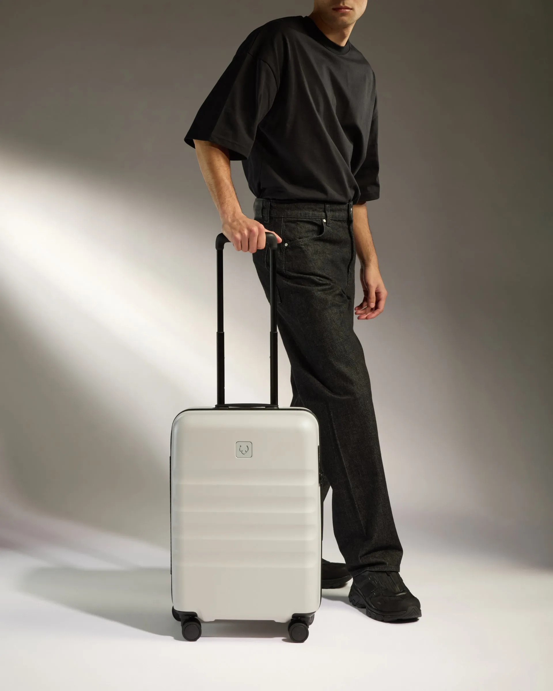 Large Cabin Suitcase in Taupe - Icon Stripe