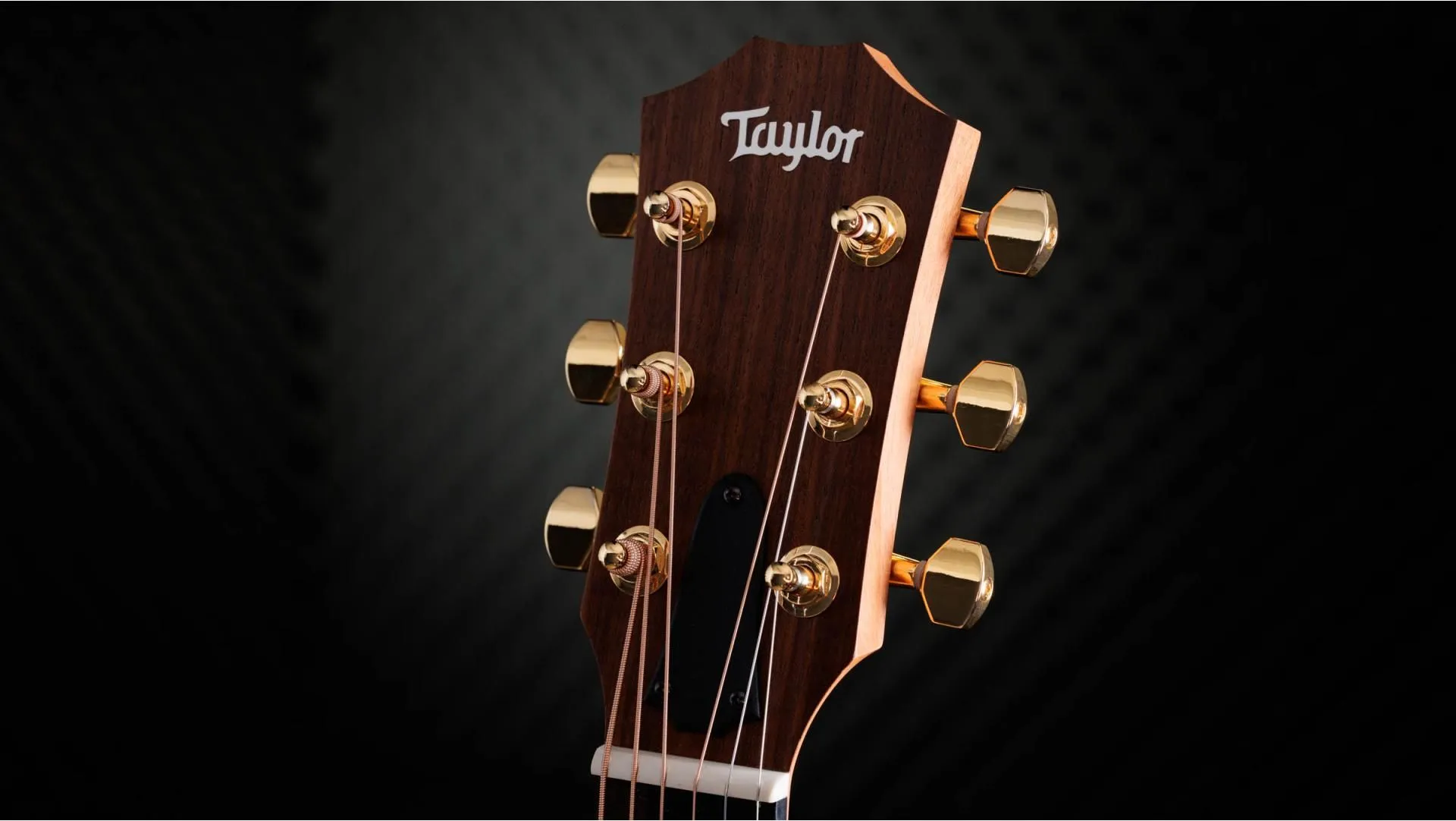 Taylor  50th Anniversary GS Mini-e Rosewood SB LTD